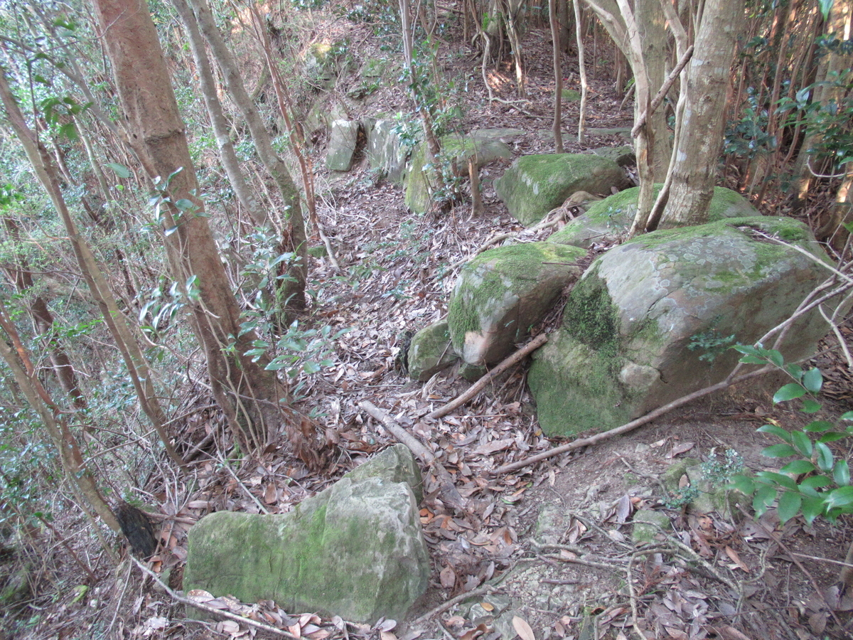 f:id:mai9mami:20200321165830j:plain f:id:mai9mami:20200321165830j:plain