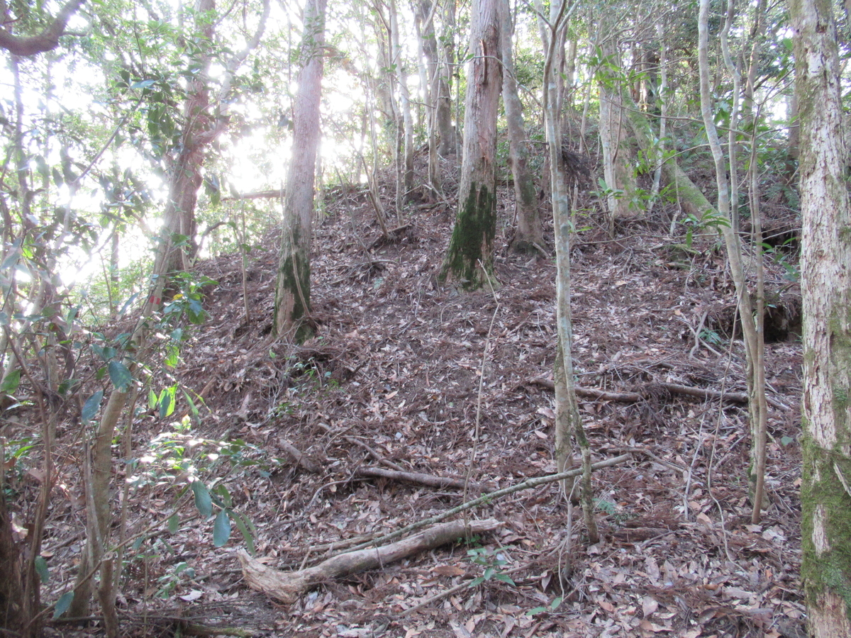 f:id:mai9mami:20200321170149j:plain f:id:mai9mami:20200321170149j:plain