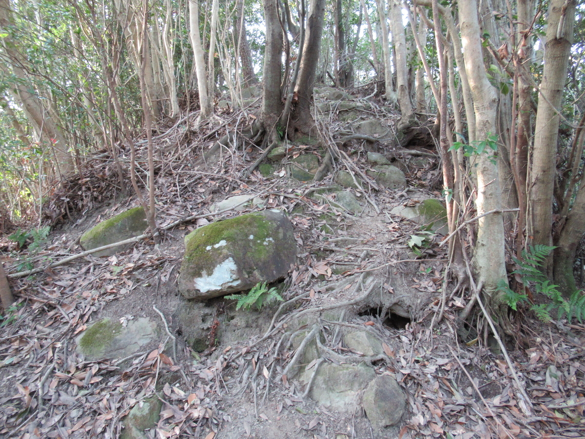 f:id:mai9mami:20200321170815j:plain f:id:mai9mami:20200321170815j:plain