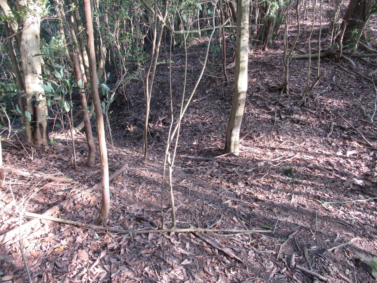 f:id:mai9mami:20200321170900j:plain f:id:mai9mami:20200321170900j:plain