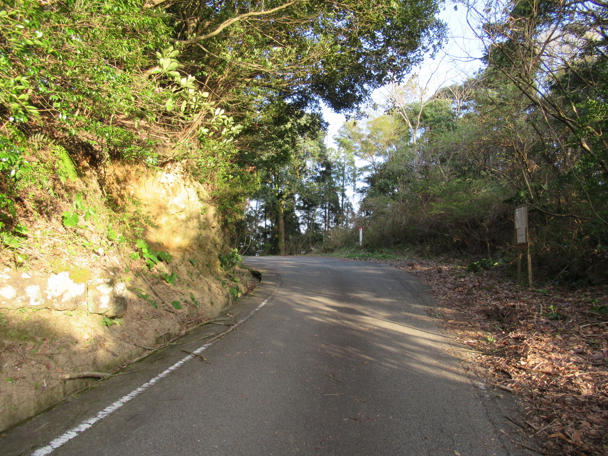 f:id:mai9mami:20200321171638j:plain f:id:mai9mami:20200321171638j:plain