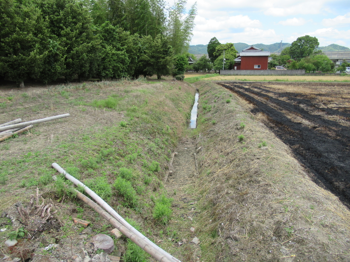 f:id:mai9mami:20200531125530j:plain f:id:mai9mami:20200531125530j:plain