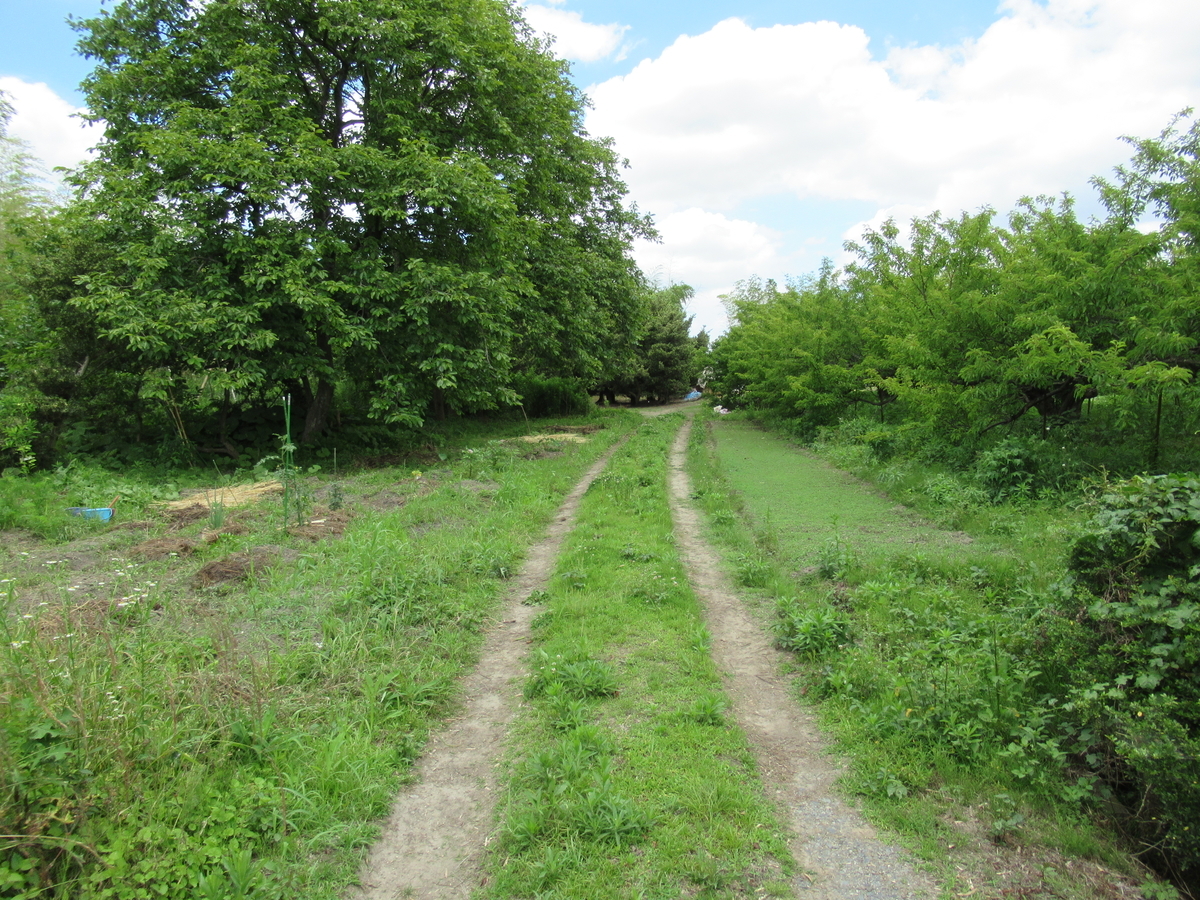 f:id:mai9mami:20200531125600j:plain f:id:mai9mami:20200531125600j:plain