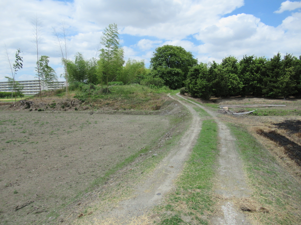 f:id:mai9mami:20200531130247j:plain f:id:mai9mami:20200531130247j:plain