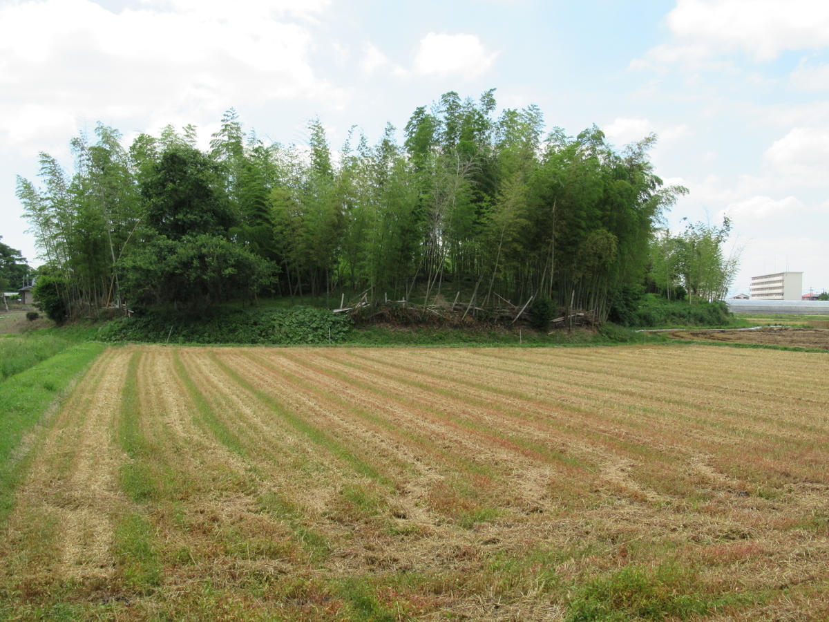 f:id:mai9mami:20200531133432j:plain f:id:mai9mami:20200531133432j:plain