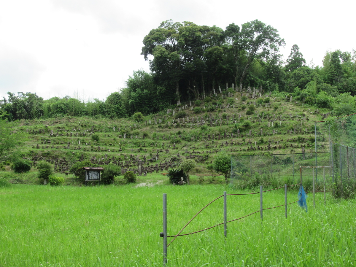 f:id:mai9mami:20200614141743j:plain