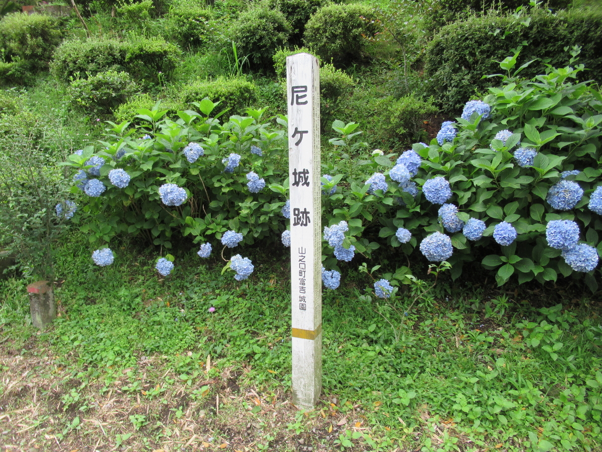 f:id:mai9mami:20200620144256j:plain f:id:mai9mami:20200620144256j:plain