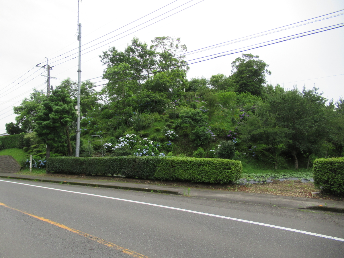 f:id:mai9mami:20200620144503j:plain f:id:mai9mami:20200620144503j:plain