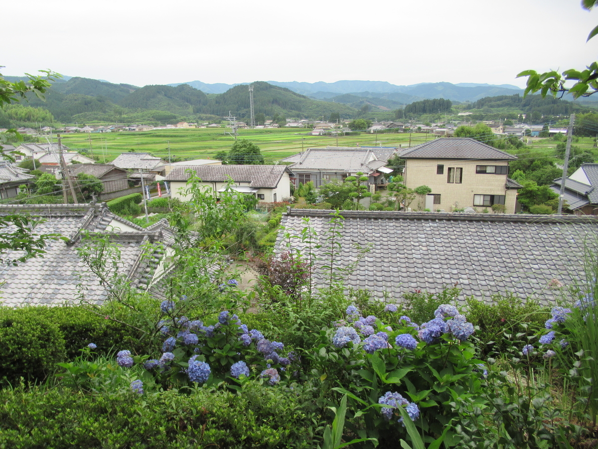 f:id:mai9mami:20200620145000j:plain f:id:mai9mami:20200620145000j:plain