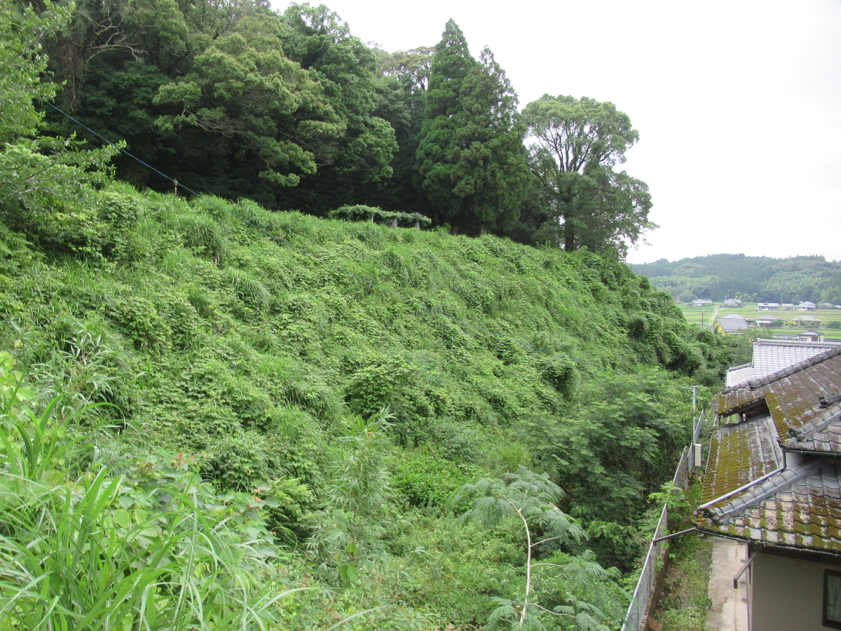 f:id:mai9mami:20200621112935j:plain