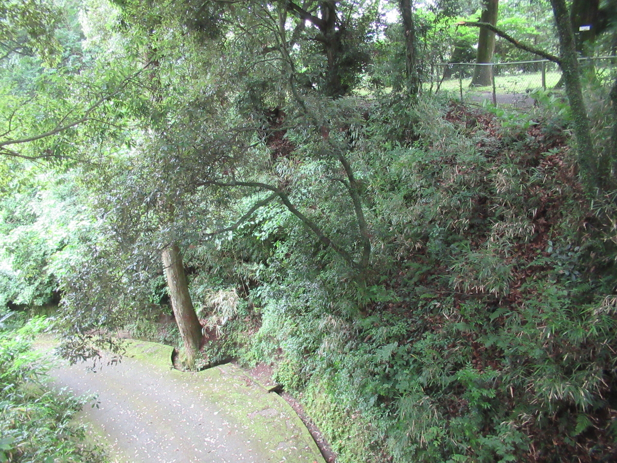 f:id:mai9mami:20200621113933j:plain