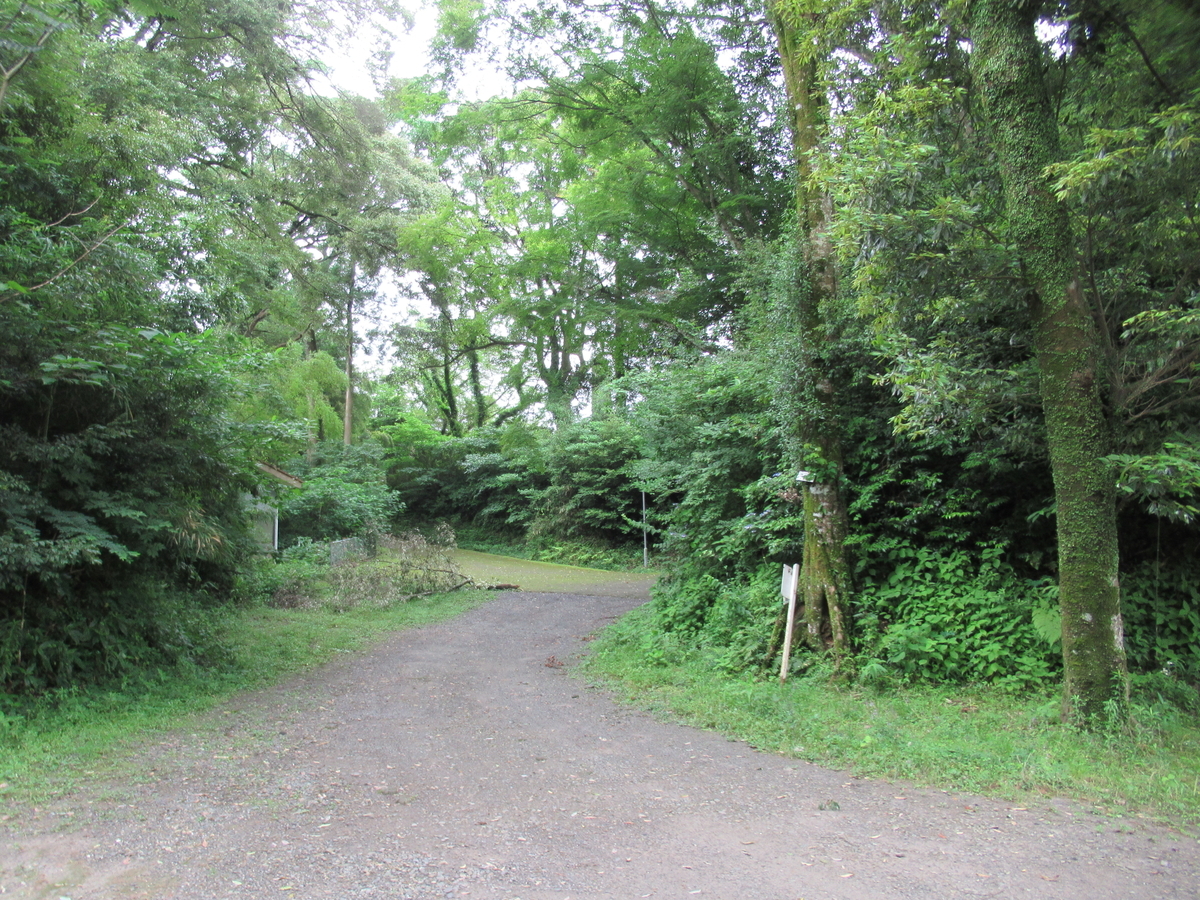 f:id:mai9mami:20200621114928j:plain