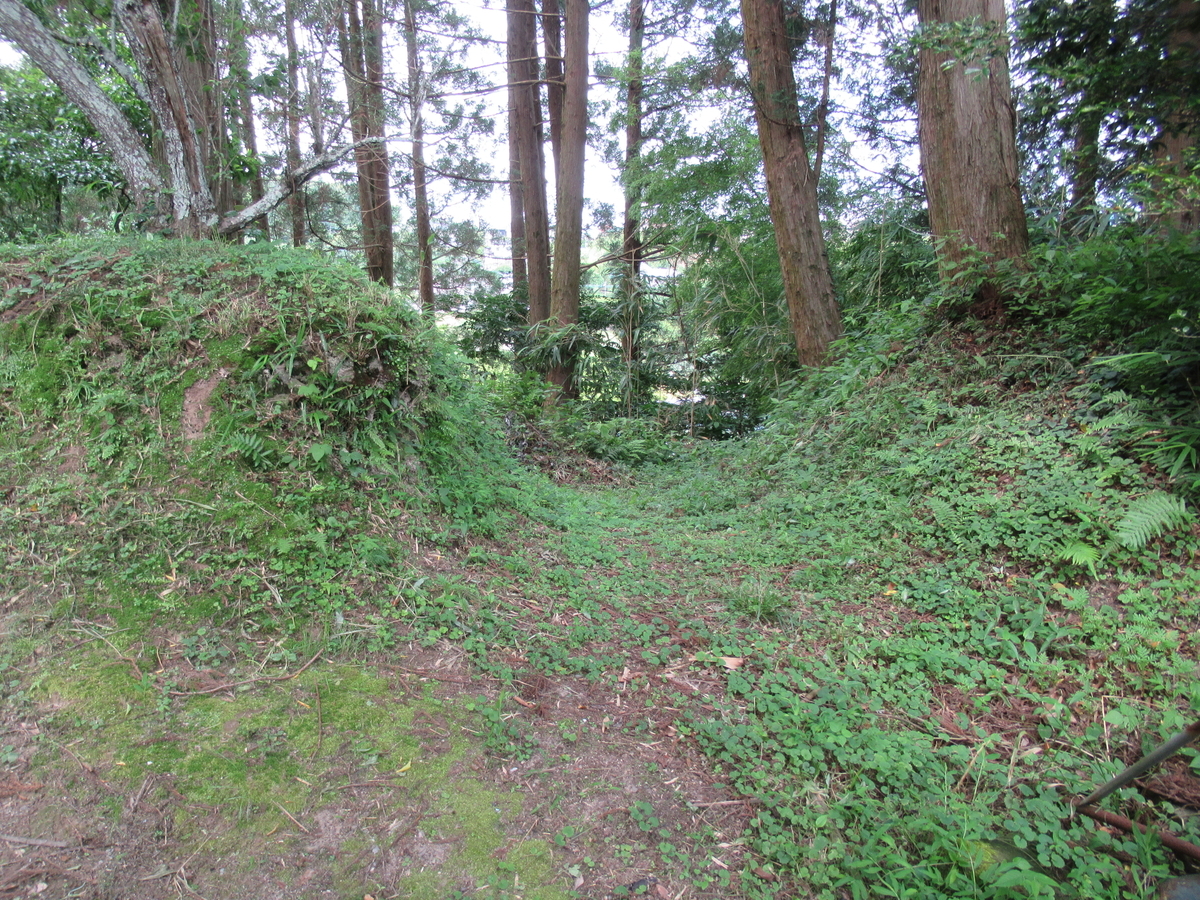 f:id:mai9mami:20200626143413j:plain