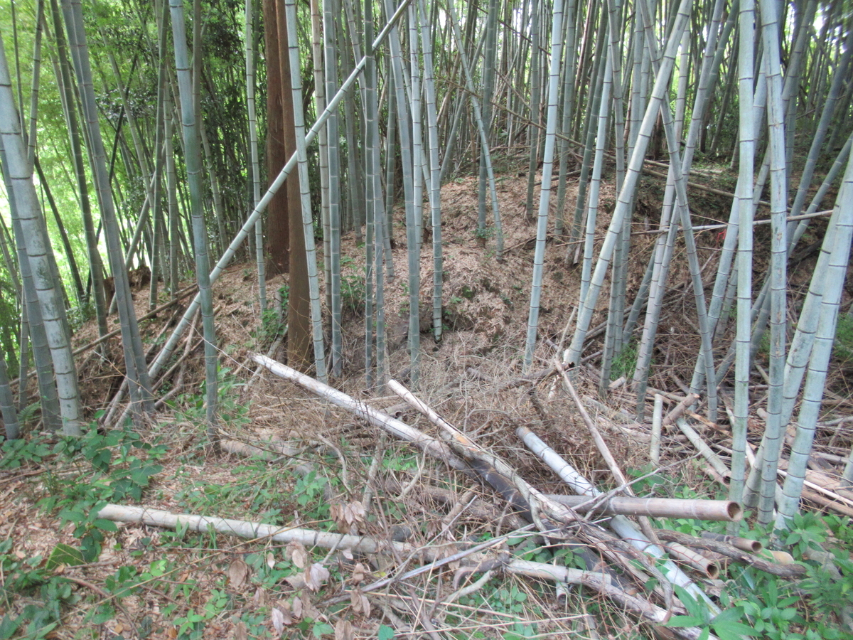 f:id:mai9mami:20200626153907j:plain