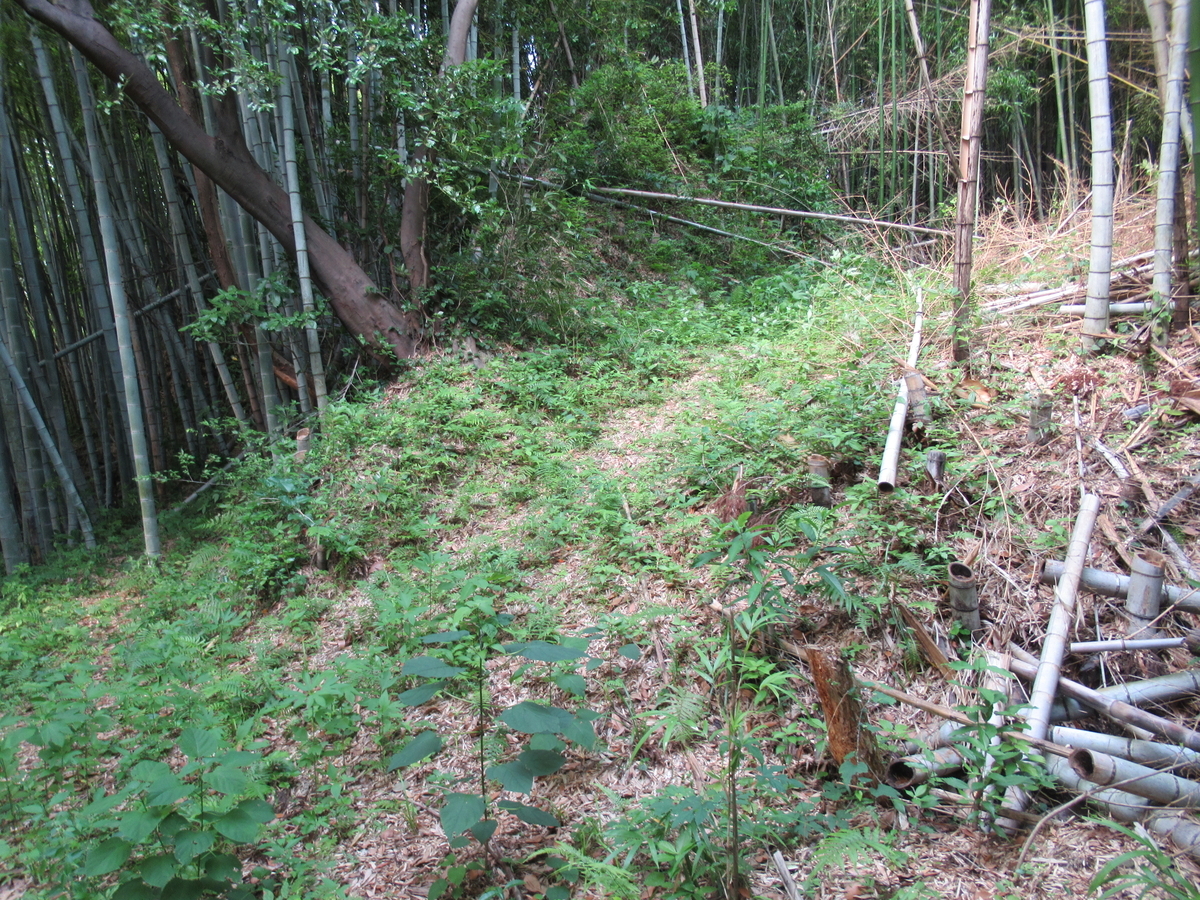 f:id:mai9mami:20200626153935j:plain