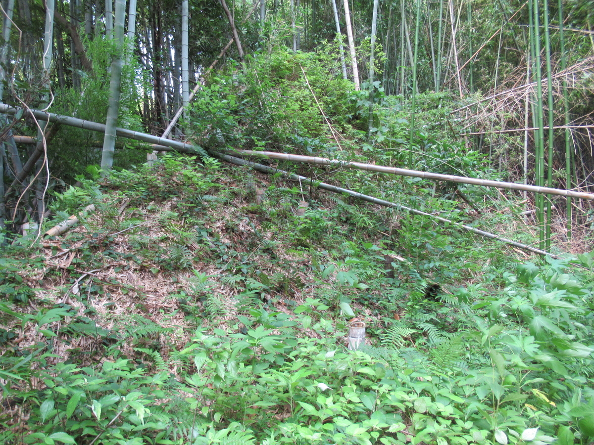 f:id:mai9mami:20200626153953j:plain