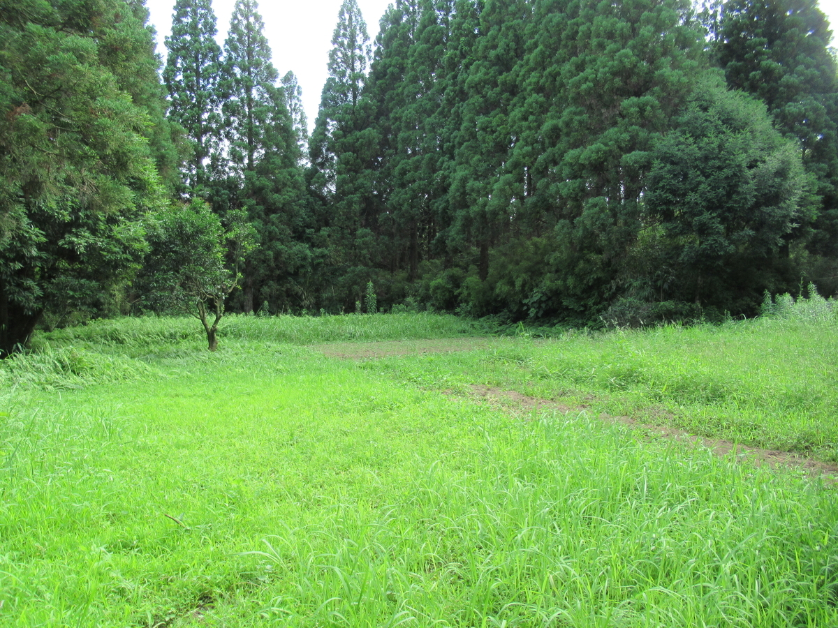 f:id:mai9mami:20200626154610j:plain