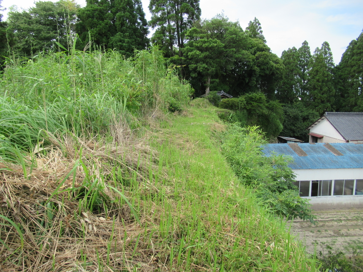 f:id:mai9mami:20200626154838j:plain