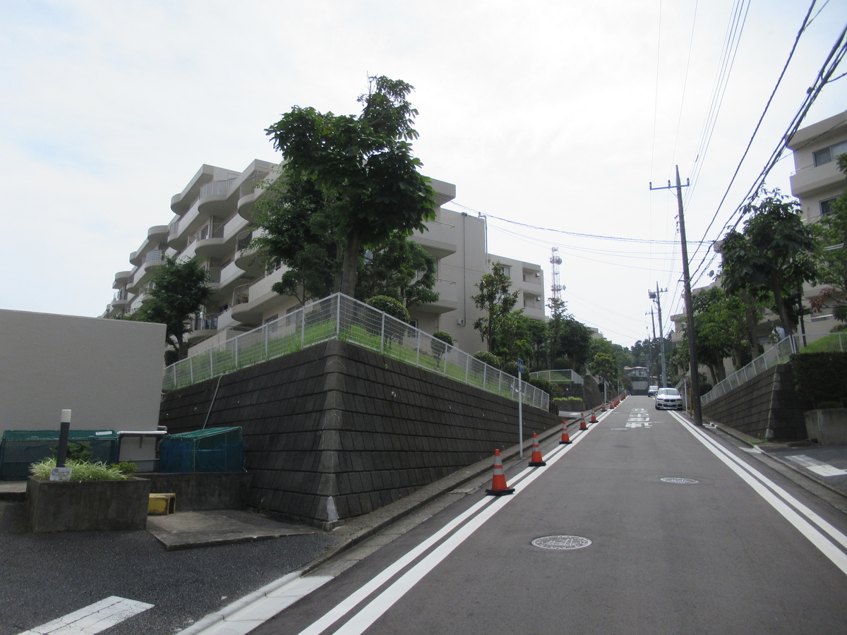 f:id:mai9mami:20200627143336j:plain