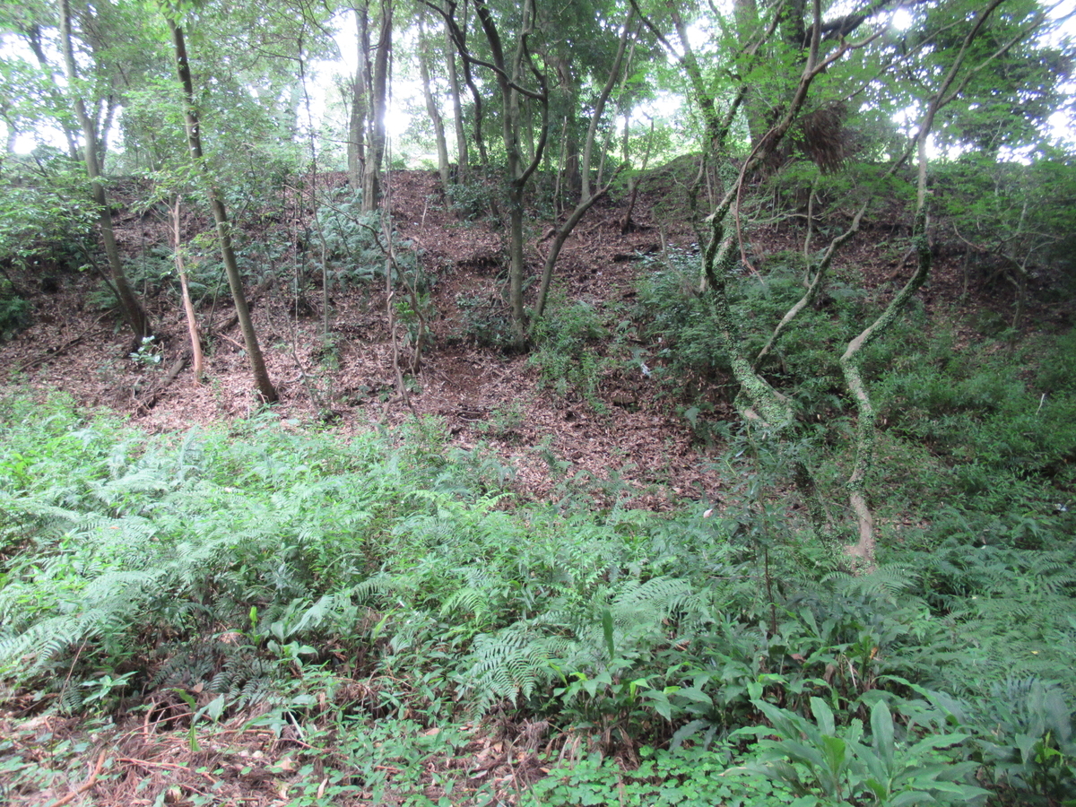 f:id:mai9mami:20200802141050j:plain