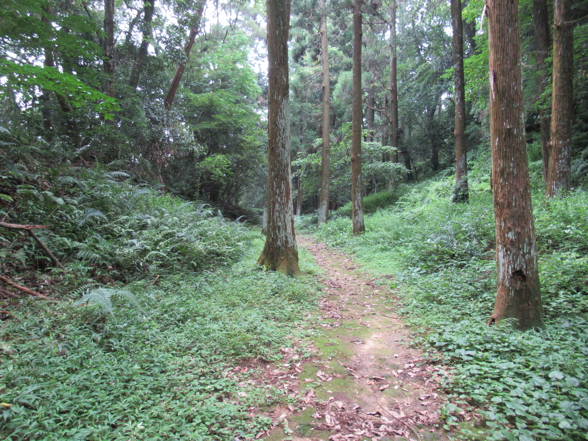 f:id:mai9mami:20200802141107j:plain