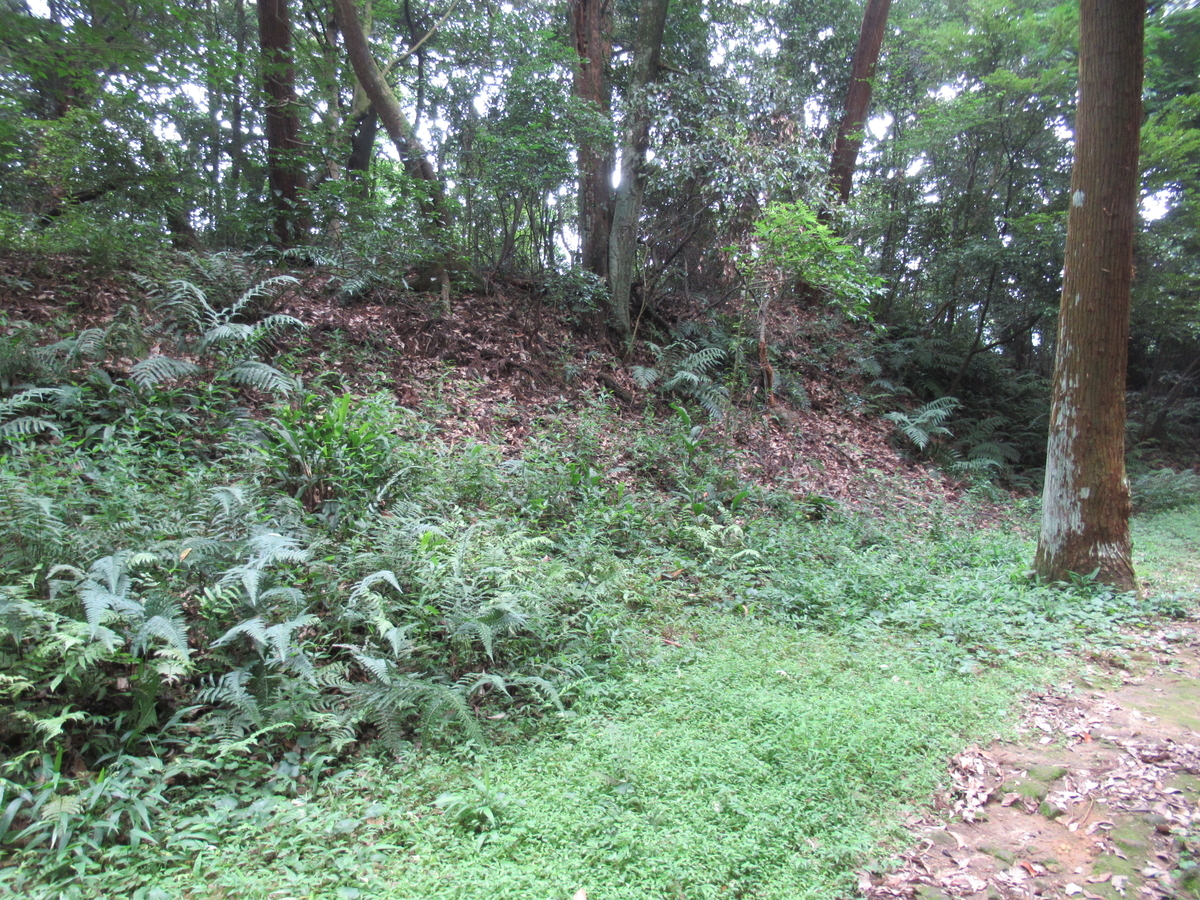 f:id:mai9mami:20200802141132j:plain