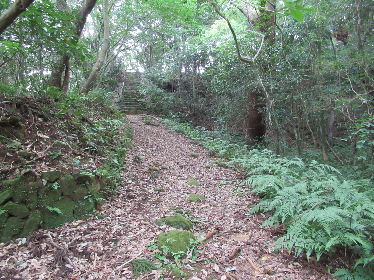 f:id:mai9mami:20200802141222j:plain