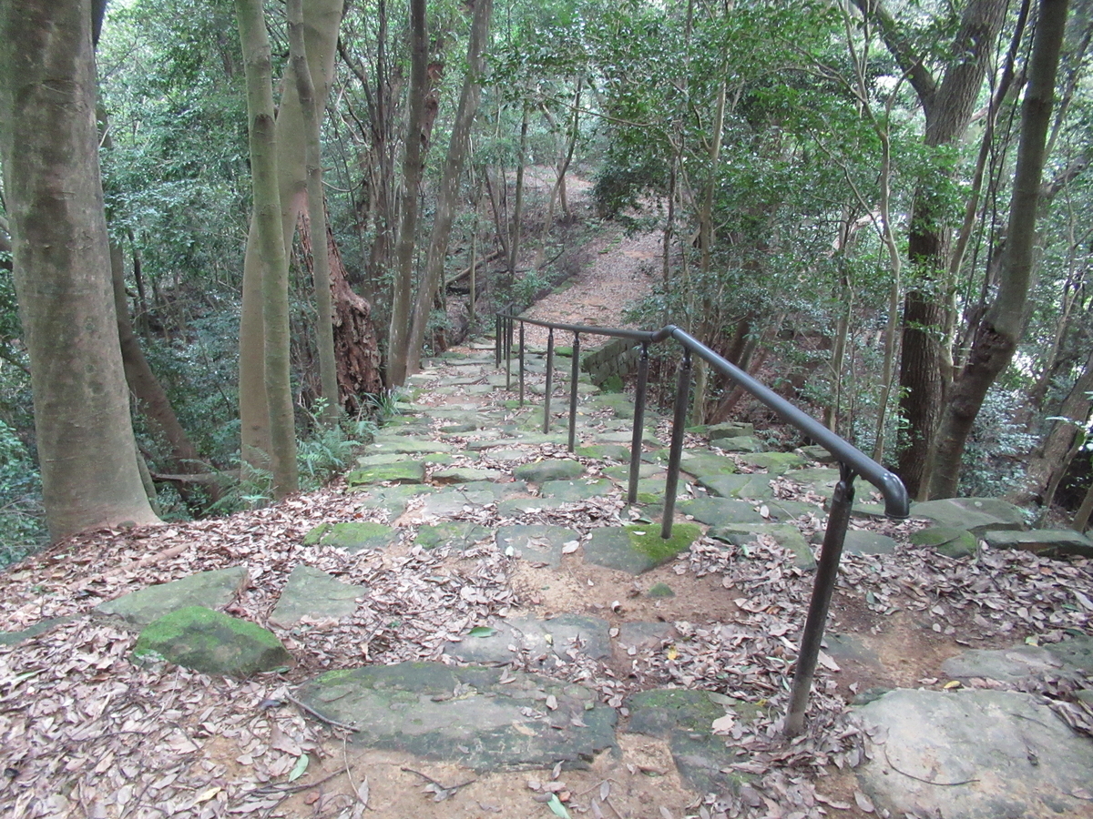 f:id:mai9mami:20200802141949j:plain