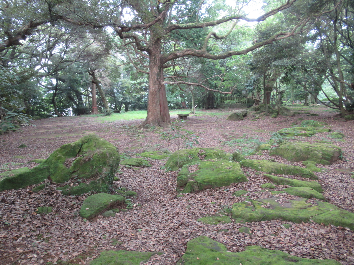 f:id:mai9mami:20200802144424j:plain