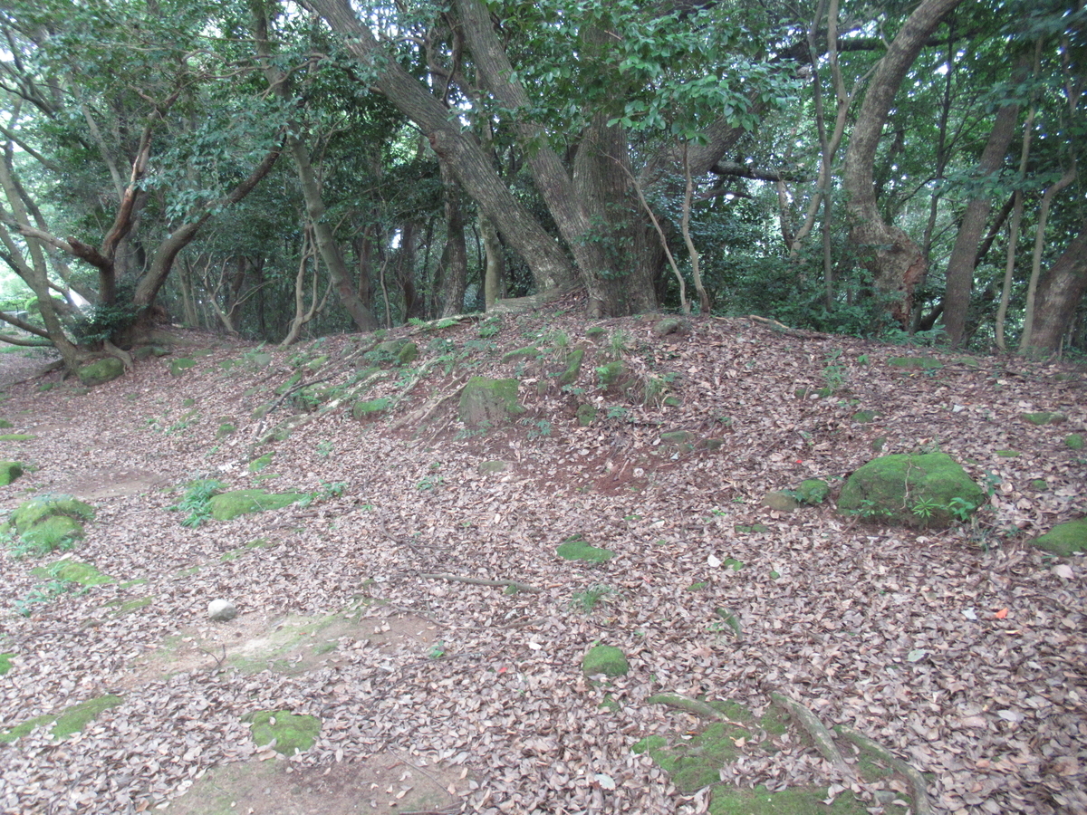 f:id:mai9mami:20200802144437j:plain