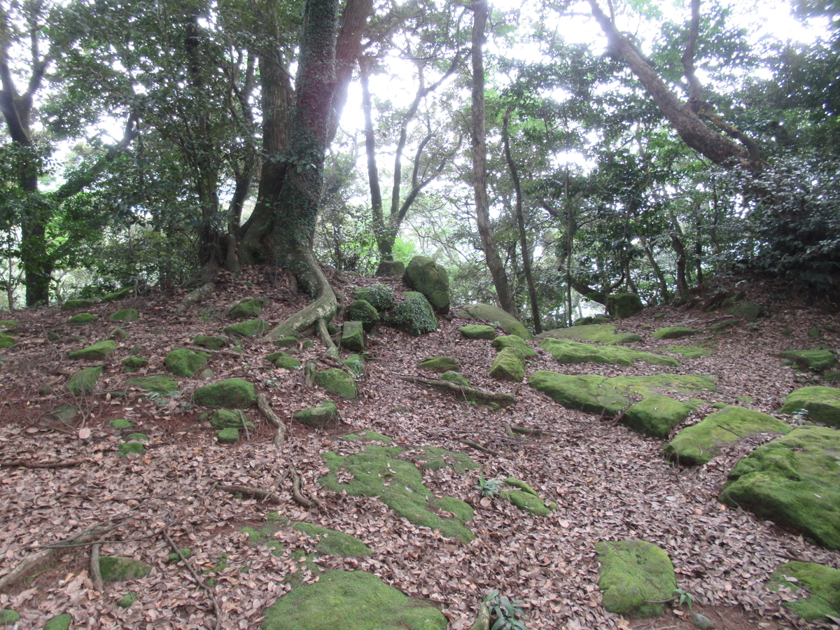 f:id:mai9mami:20200802144725j:plain