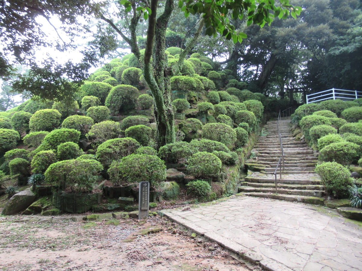 f:id:mai9mami:20200802145142j:plain