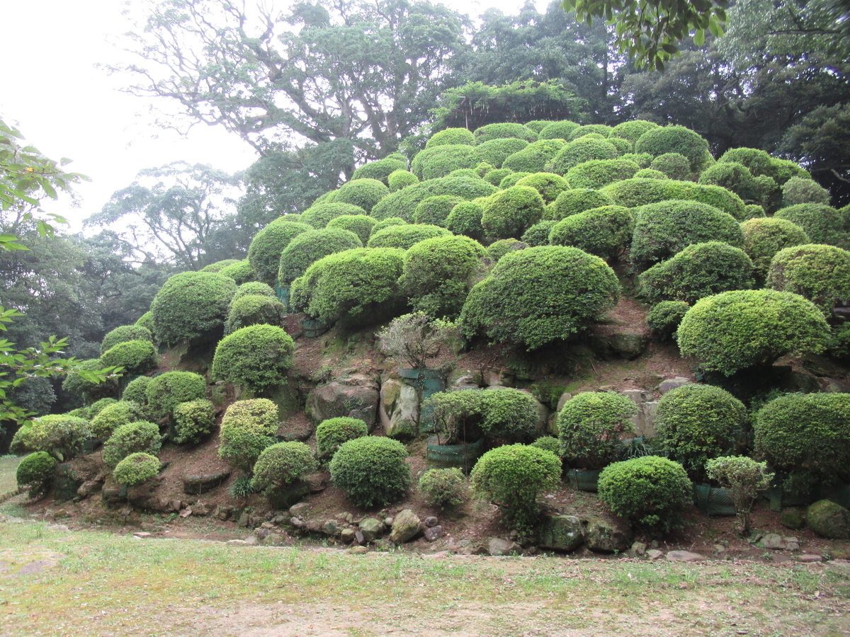 f:id:mai9mami:20200802145242j:plain