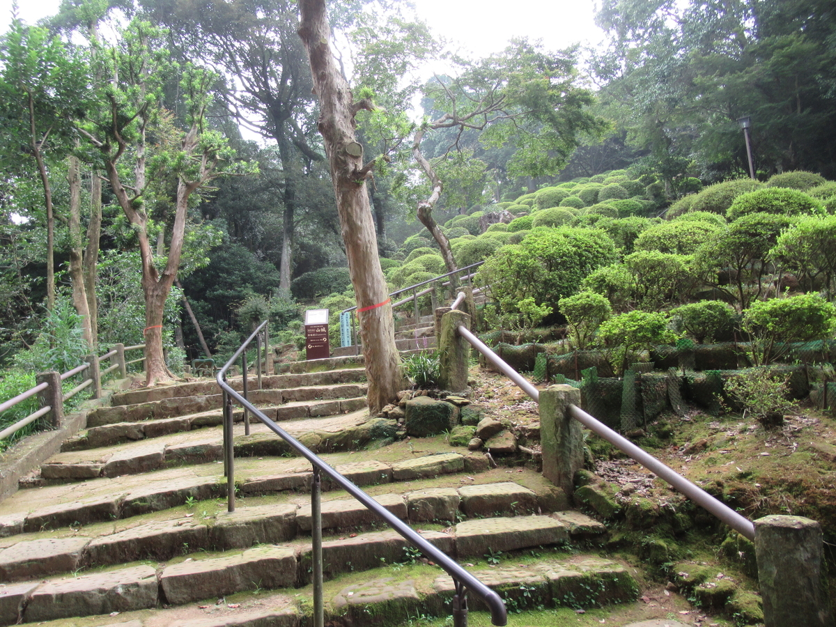 f:id:mai9mami:20200802145656j:plain