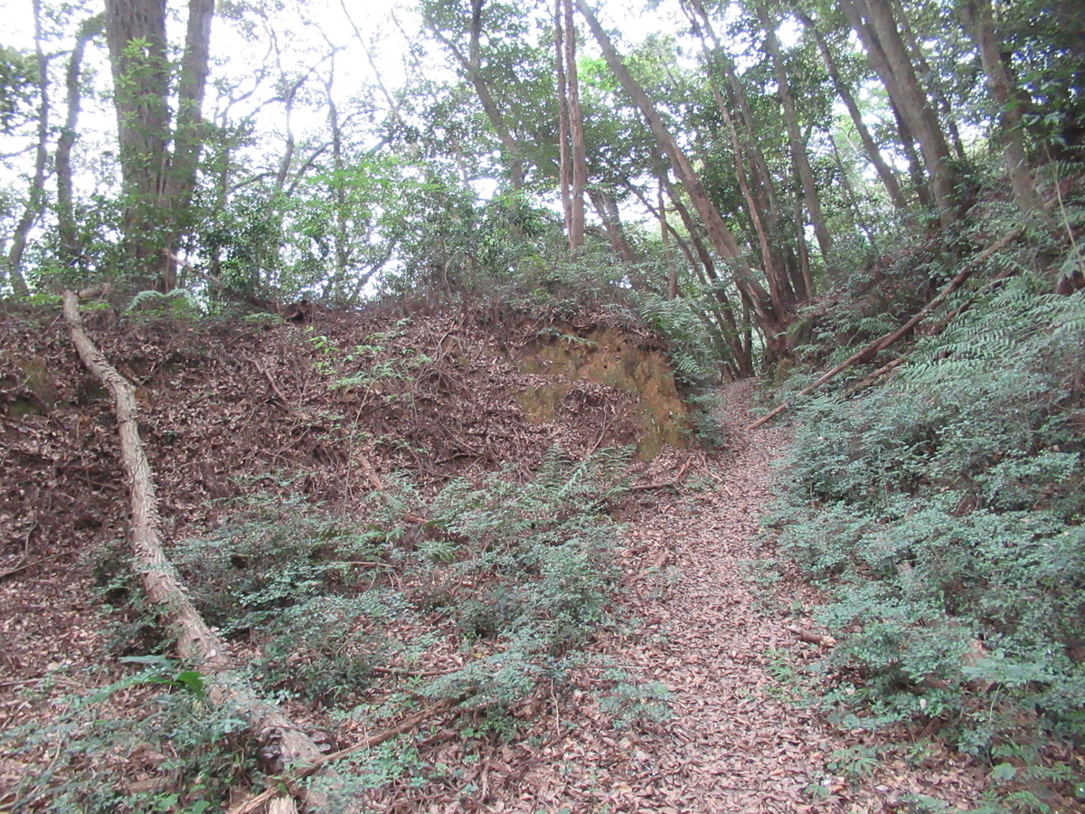 f:id:mai9mami:20200822140750j:plain