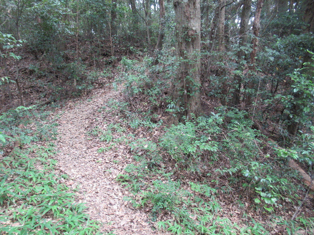 f:id:mai9mami:20200822141132j:plain