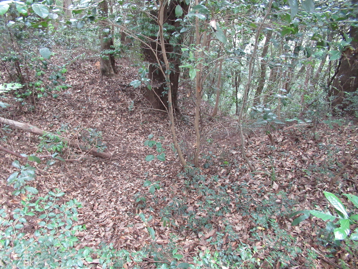 f:id:mai9mami:20200822141618j:plain