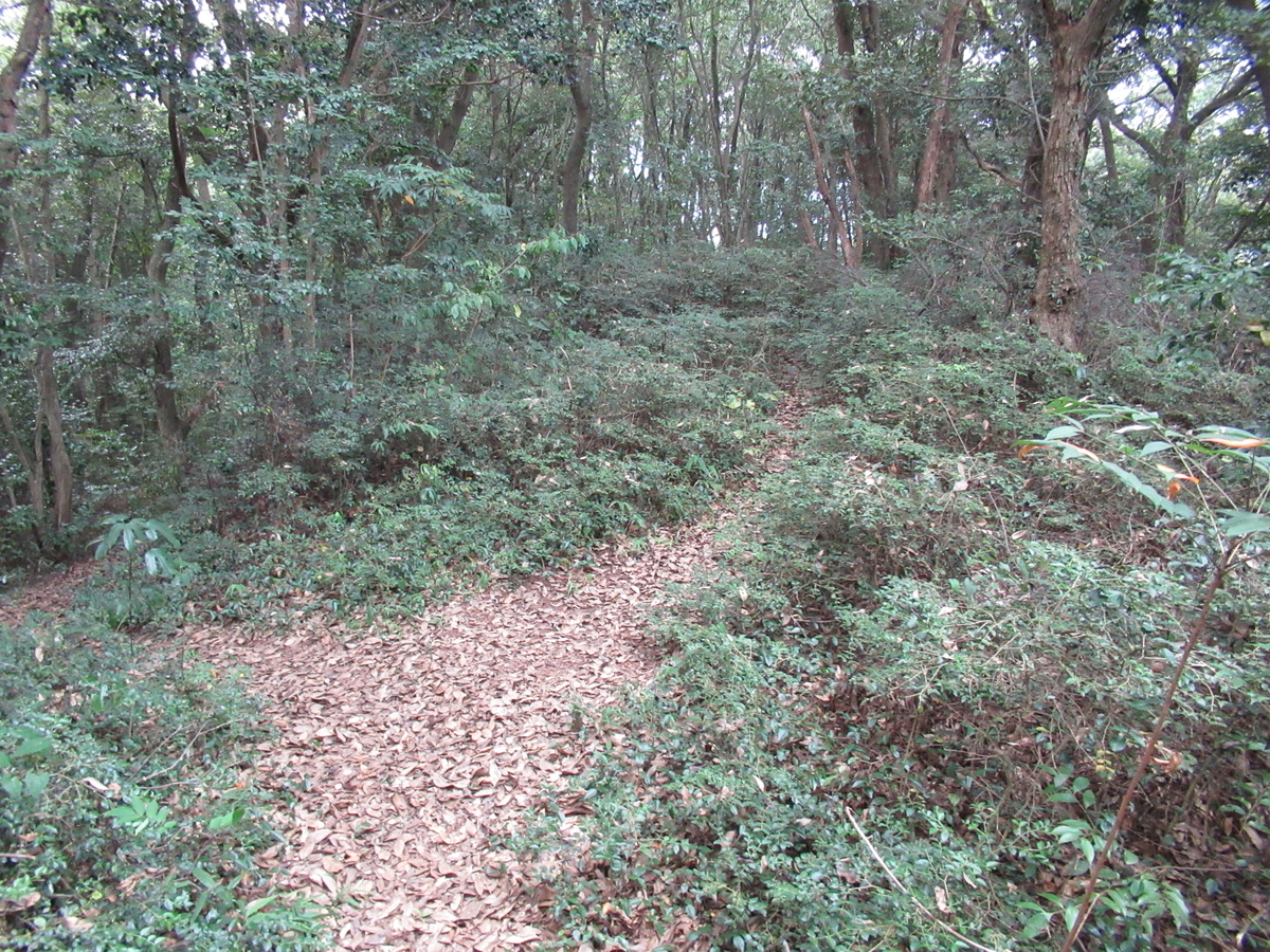 f:id:mai9mami:20200822141836j:plain