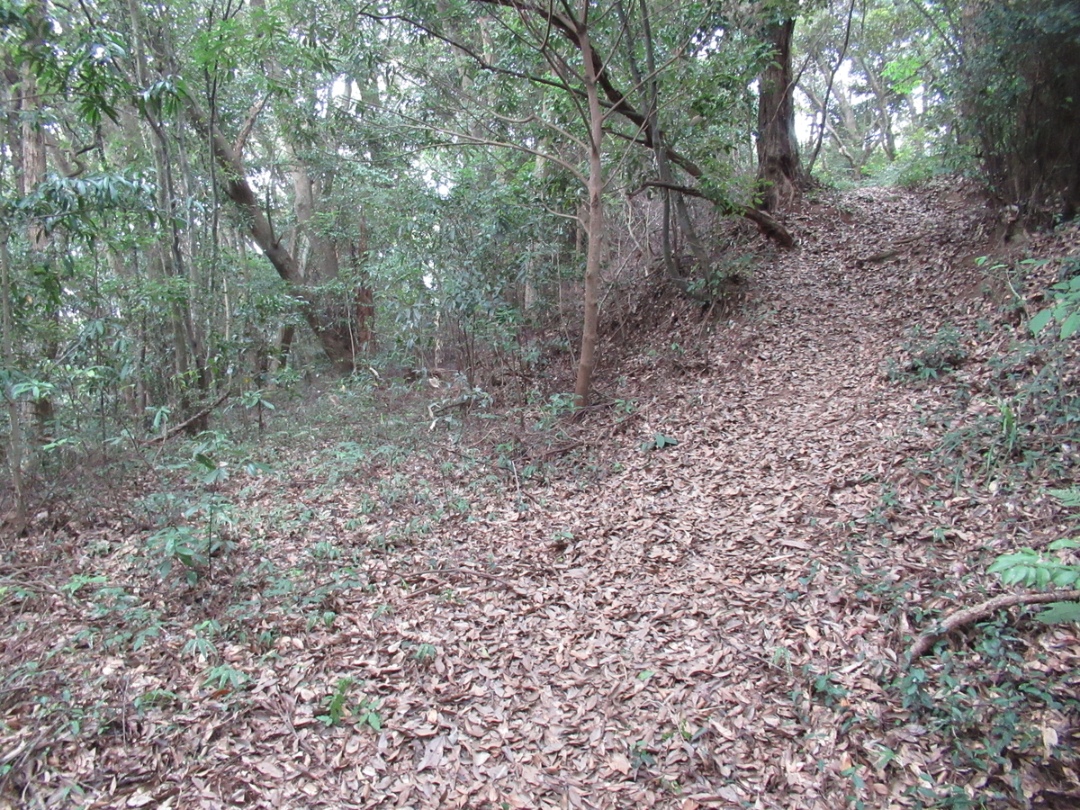 f:id:mai9mami:20200822142223j:plain