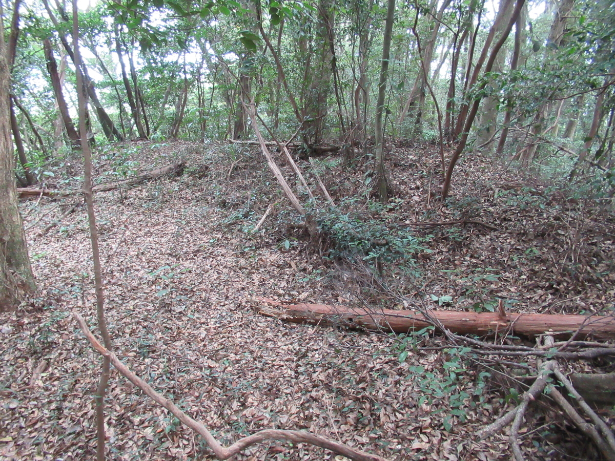 f:id:mai9mami:20200822142346j:plain