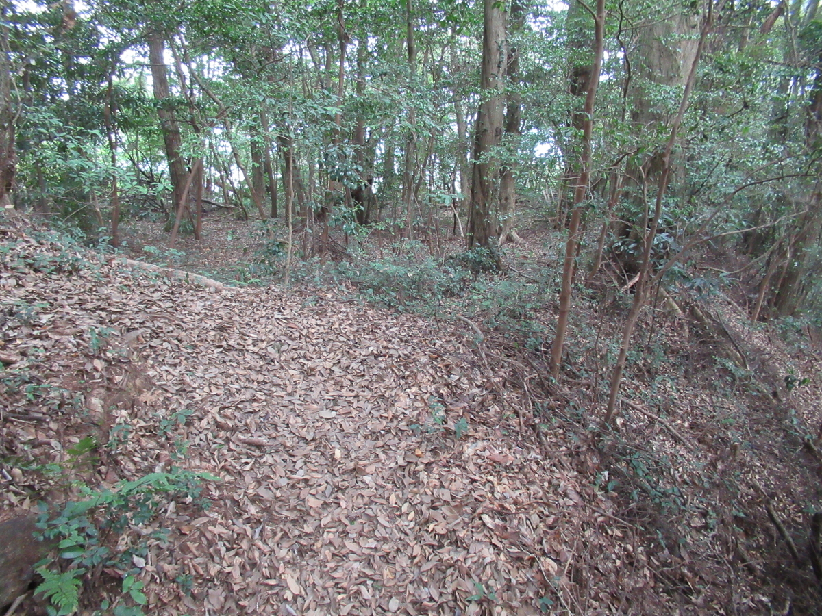 f:id:mai9mami:20200822142837j:plain