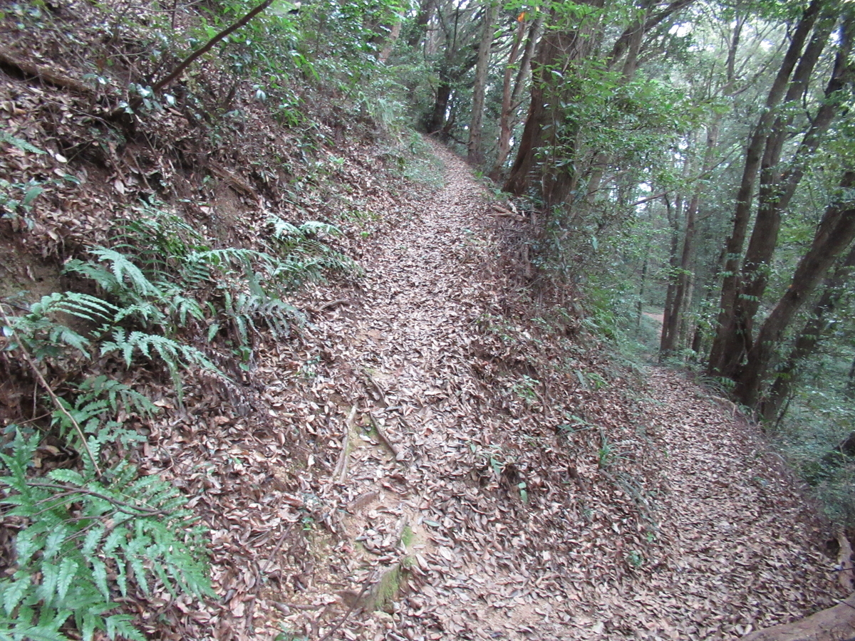 f:id:mai9mami:20200822142911j:plain