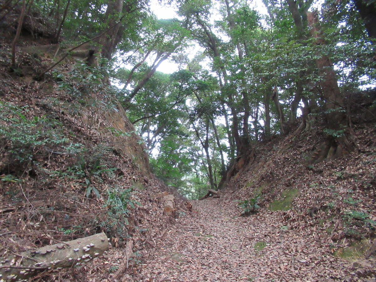 f:id:mai9mami:20200822143400j:plain