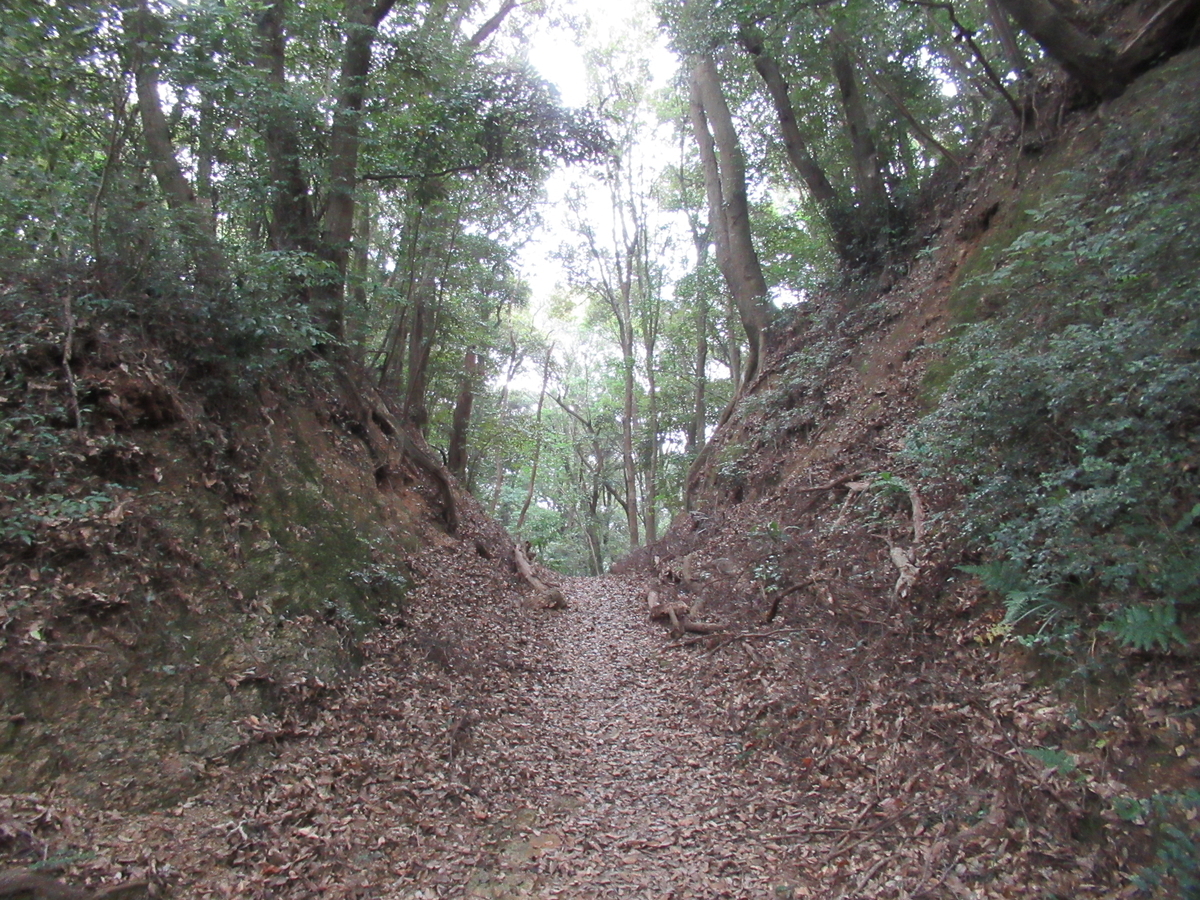 f:id:mai9mami:20200822143618j:plain