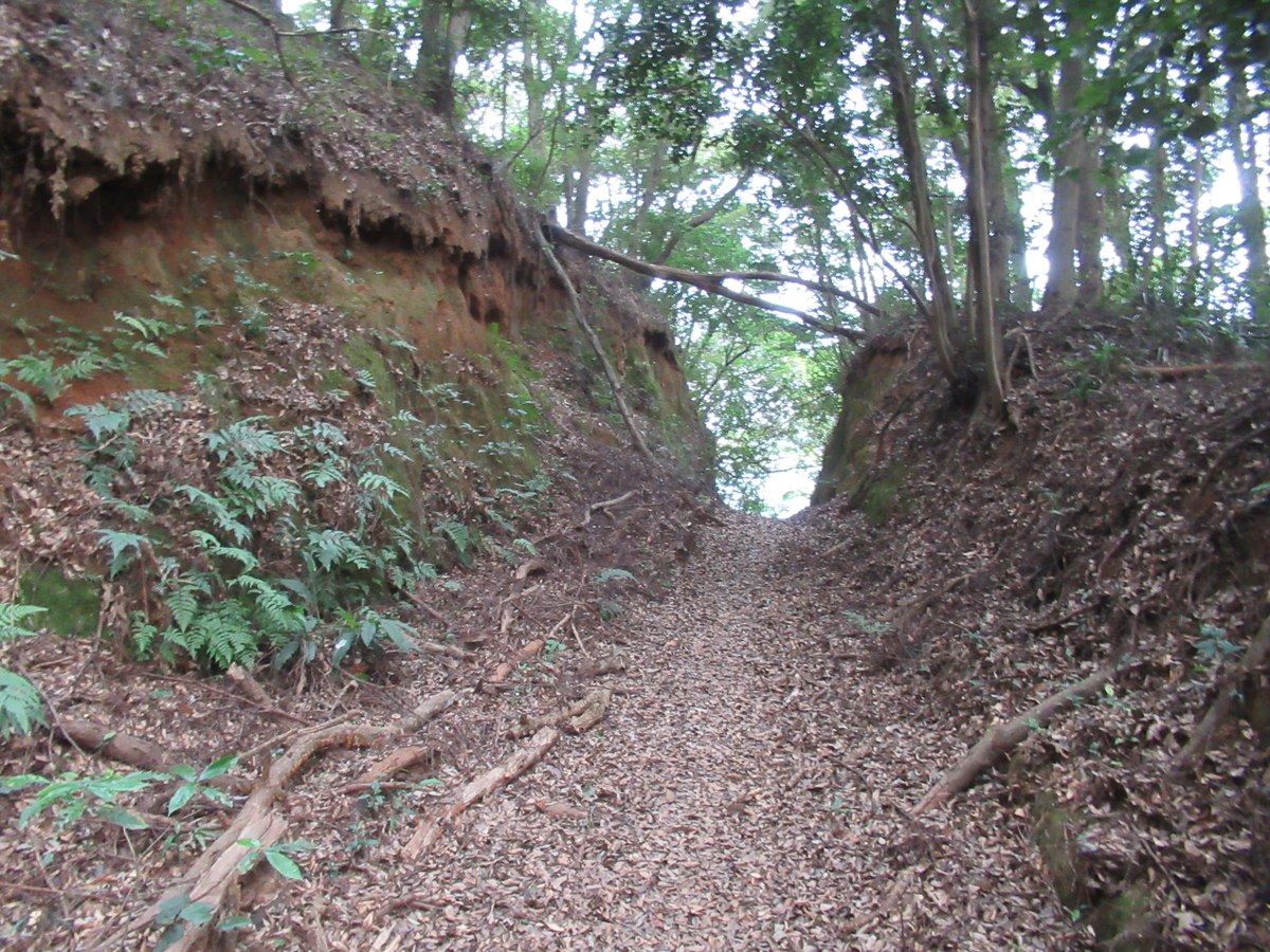 f:id:mai9mami:20200822143745j:plain