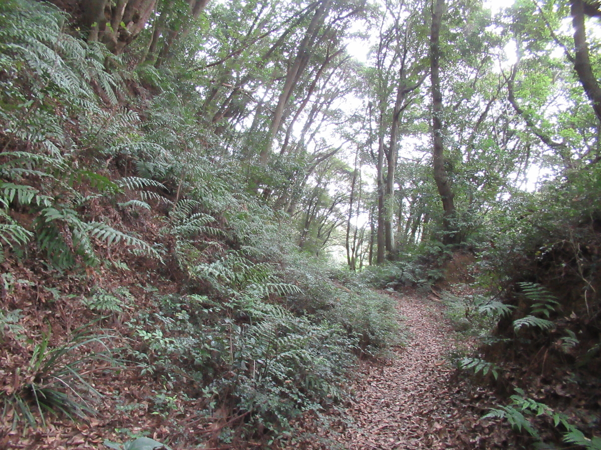 f:id:mai9mami:20200822144214j:plain