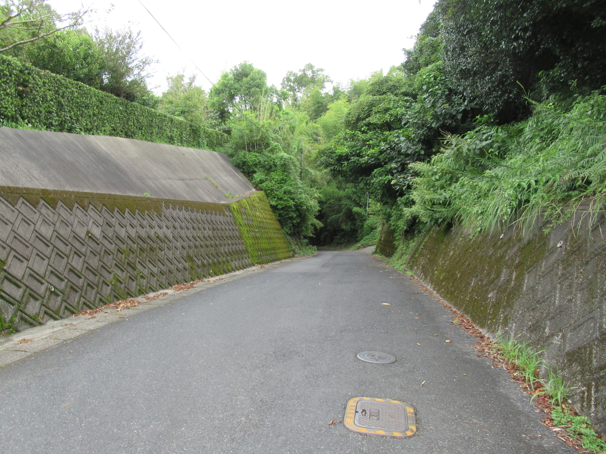 f:id:mai9mami:20200905123724j:plain