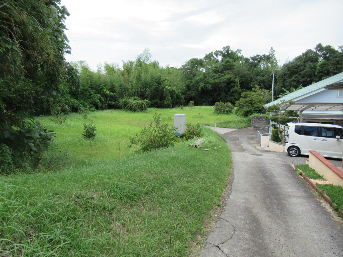 f:id:mai9mami:20200905130733j:plain