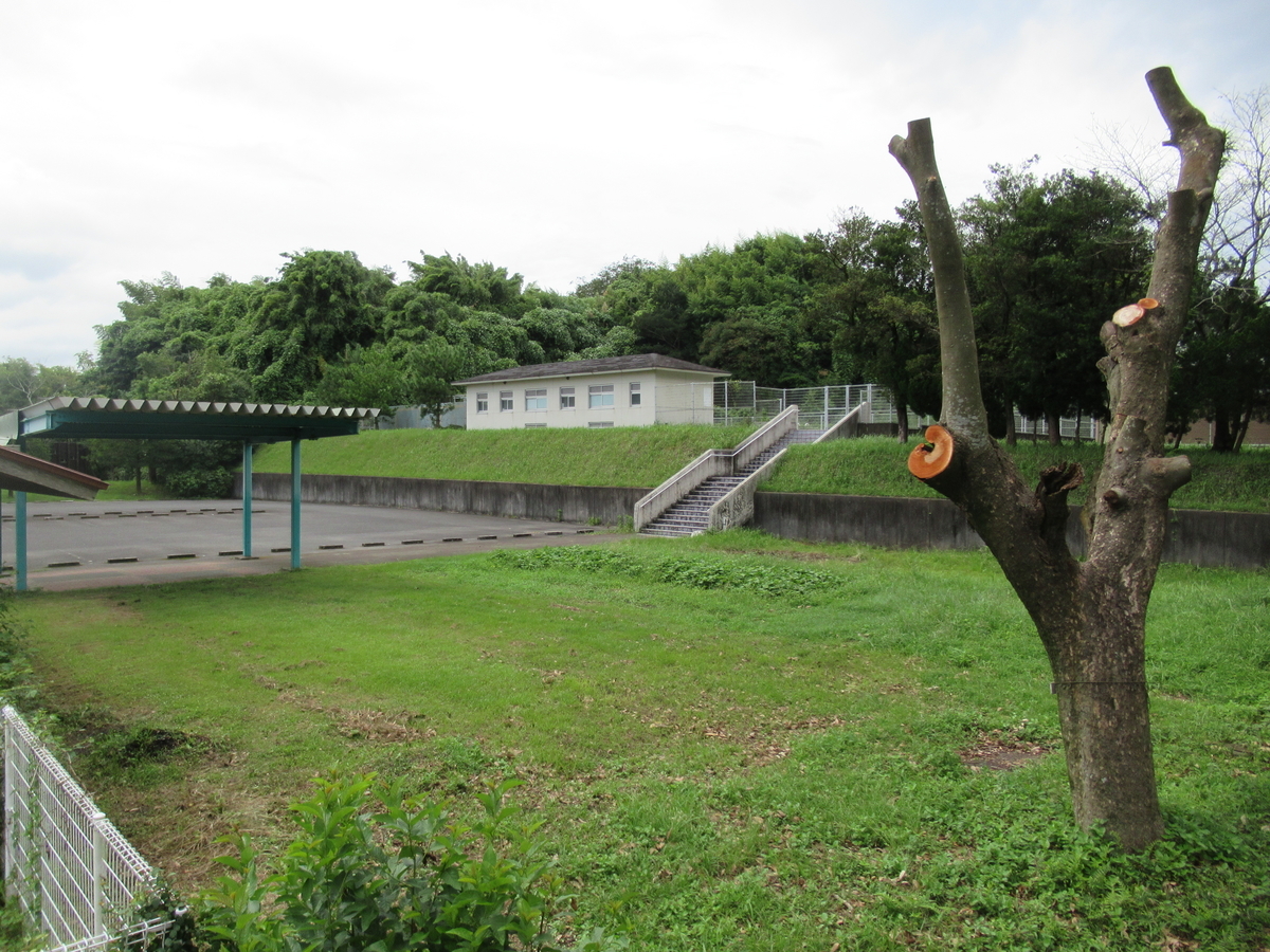 f:id:mai9mami:20200905131252j:plain