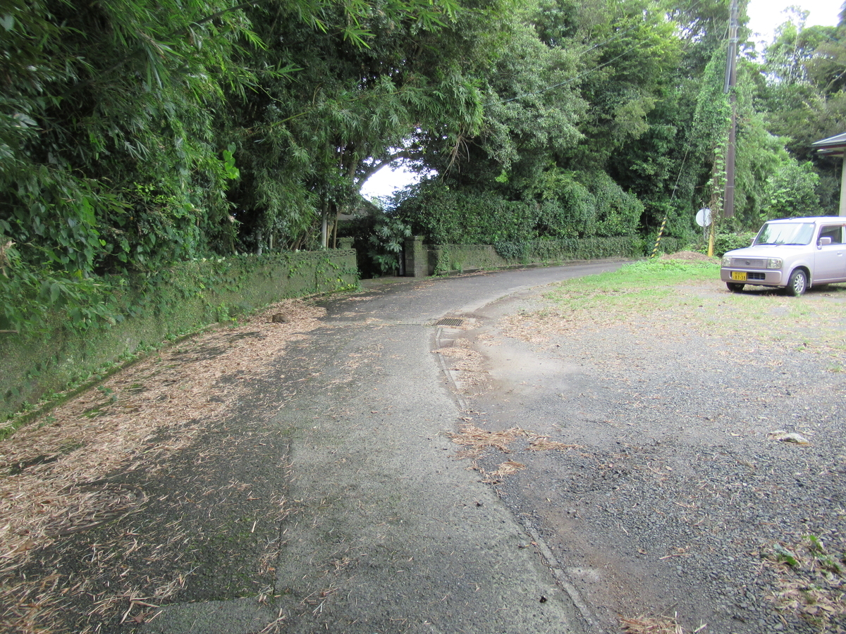 f:id:mai9mami:20200905131907j:plain